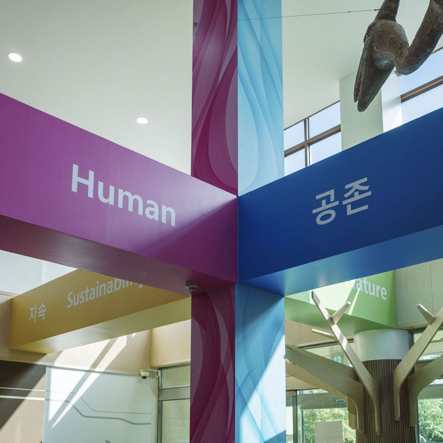경북의 무더움을 이겨내는 실내데이트 장소 추천