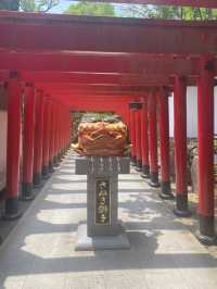 香川 / 見どころ満載の神社