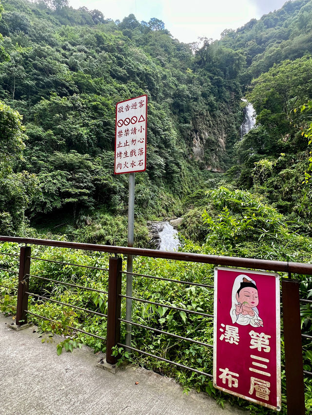 嘉義步道～滿滿芬多精！