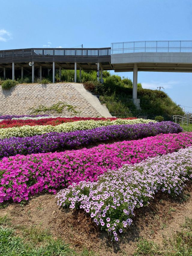 【淡路島】名産品吹き戻しやお香も揃う産地直売所