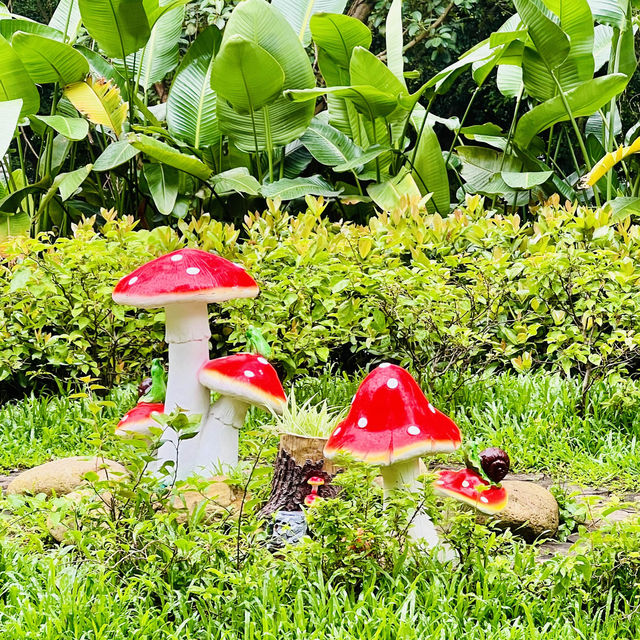 种草深圳水土保持科技示範園啦😄