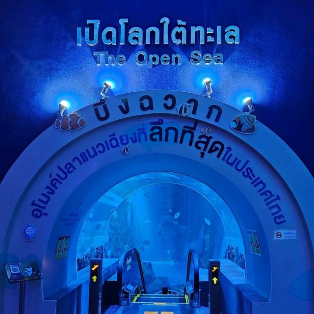 เที่ยวครบสัตว์บก สัตว์น้ำ ที่บึงฉวาก