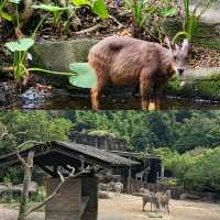 【臺北自由行】臺北市立動物園：綠蔭遮蔽，適合帶小朋友