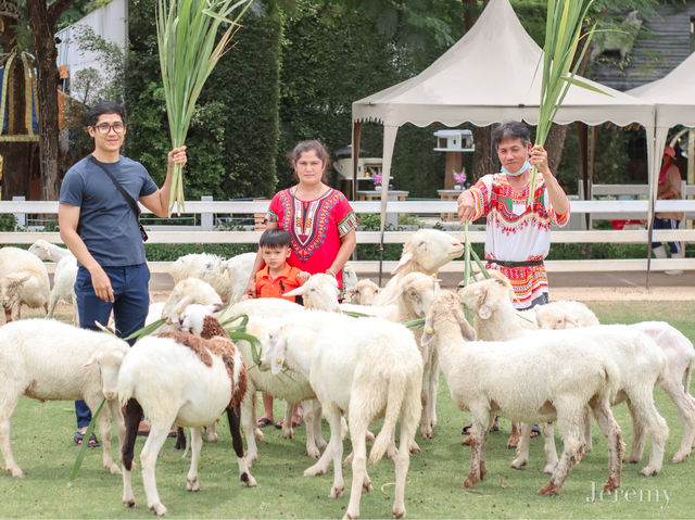รีวิว The Scenery Vintage Farm สวนผึ้ง 