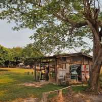 Far Away Cafe🌳