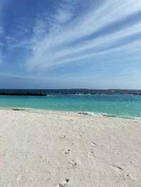 Get lost in the Indian Ocean Sea 🐬