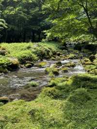 【秋田(にかほ市)】平成の滝百名の1つ！大迫力の鳥海山の湧水の滝