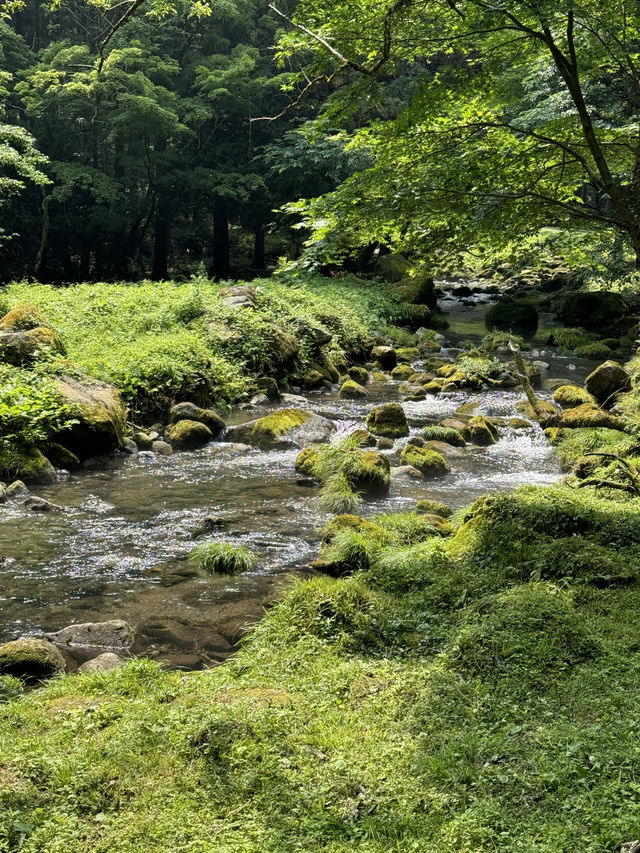 【秋田(にかほ市)】平成の滝百名の1つ！大迫力の鳥海山の湧水の滝