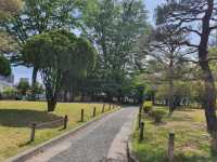 Matsumoto Cystle 