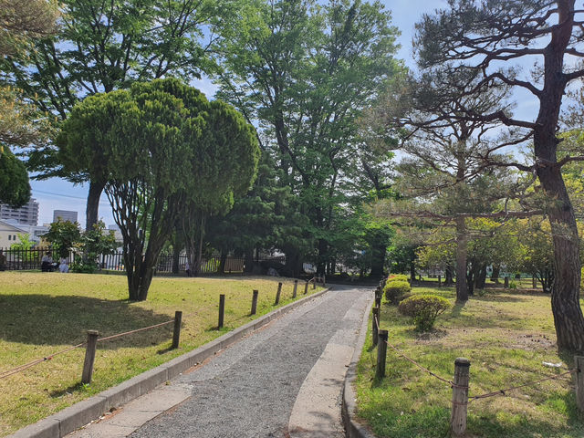 Matsumoto Cystle 