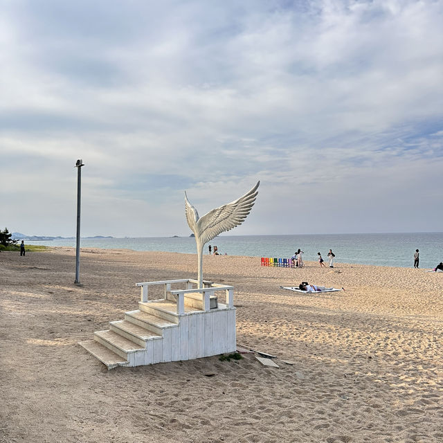 푸르른 동해안의 멋진 데이트장소 고성🌊
