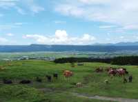 เช่ารถขับเที่ยวชมความสวยงามที่ Daikanbo
