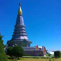 Doi Inthanon National Park: A Blooming Paradise