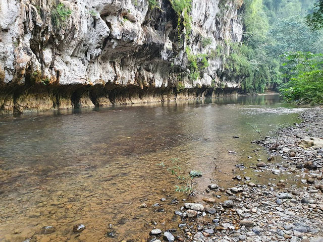 📍Our Jungle House จ.สุราฎร์ธานี