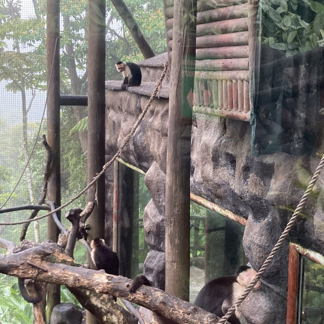 코스타리카 라 파즈 워터폴 가든스 자연공원 La Paz Waterfall Gardens Nature Park