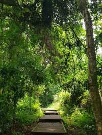 ESCAPE INTO THE WILDERNESS