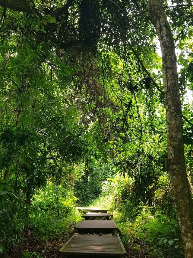 ESCAPE INTO THE WILDERNESS