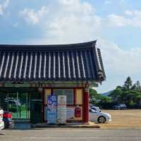 녹색이 어울리는 카페