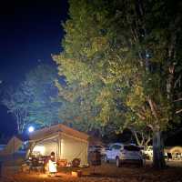 노을이 예쁜 학교 개조 캠핑장 ‘솔부엉이 캠핑장’🏕️