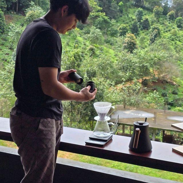 Matsika Coffee Farm บ้านปางขอน