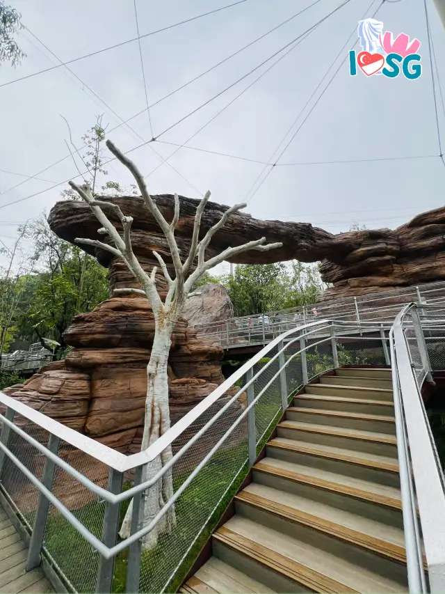 🇸🇬 Australian Outback