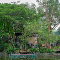 ไปเกาะลีเมอร์ที่สวนสัตว์เปิดเขาเขียว ศรีราชากัน 