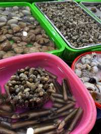 Coastal Charm of Vung Tau