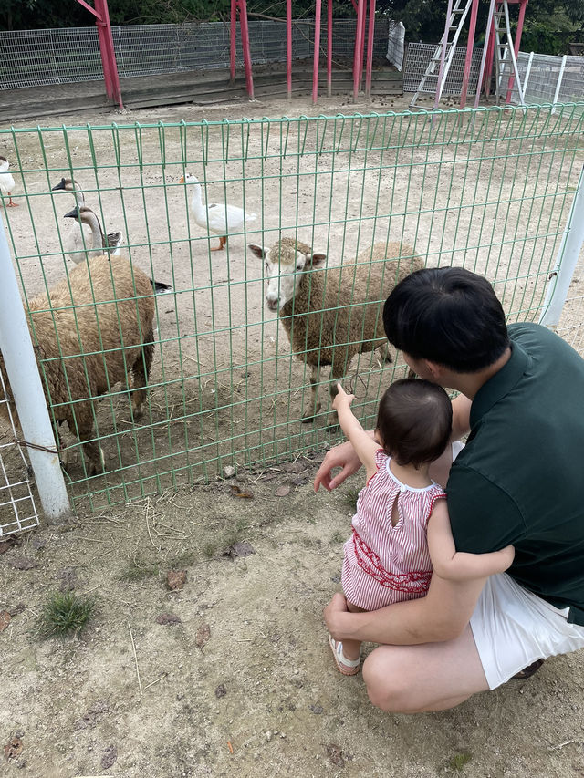 아이와 다녀오기 좋은 은아목장🐮