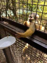 近距離餵動物嘅難忘體驗 