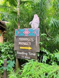 Wild Encounters at Singapore Zoo