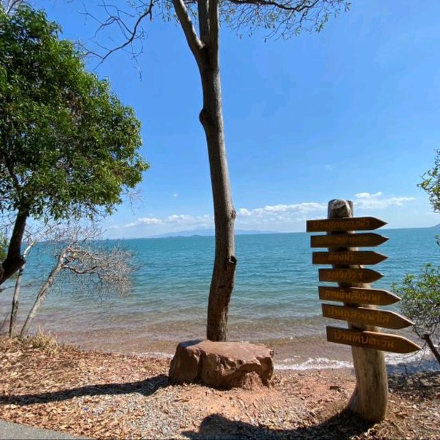 สวยแปลกไม่เหมือนใคร "ลานหินสีชมพู"