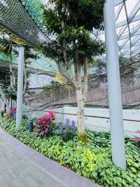 🇸🇬 Canopy Park Bouncing Net