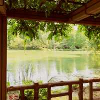 ～井の頭恩賜公園～