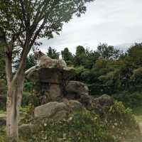 九州自然動物園：放養式的野生探險 🦓🌳
