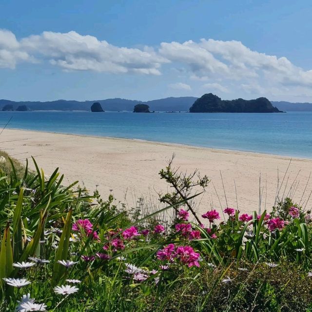 Cathedral Cove