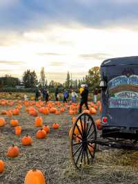 【バンクーバー🇨🇦】カナダで日本とは一味違うハロウィンを🎃