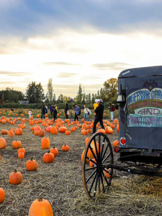 【バンクーバー🇨🇦】カナダで日本とは一味違うハロウィンを🎃