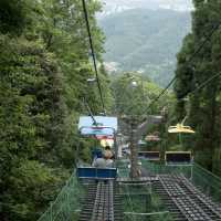 Mount Takao: Nature and serenity just an hour from Tokyo!