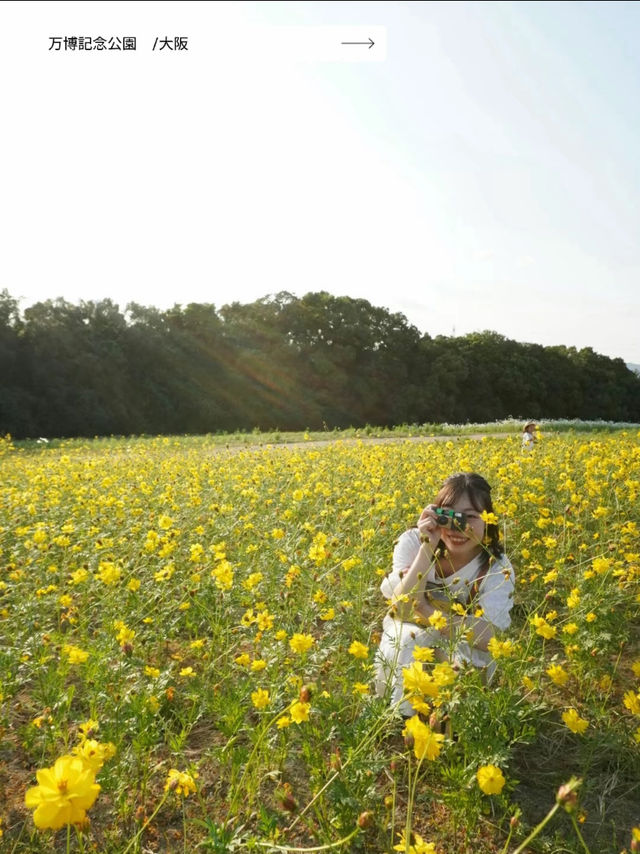 【今週はここに行こう！！】映えたいあなたにおすすめの関西お出かけスポット５選✨