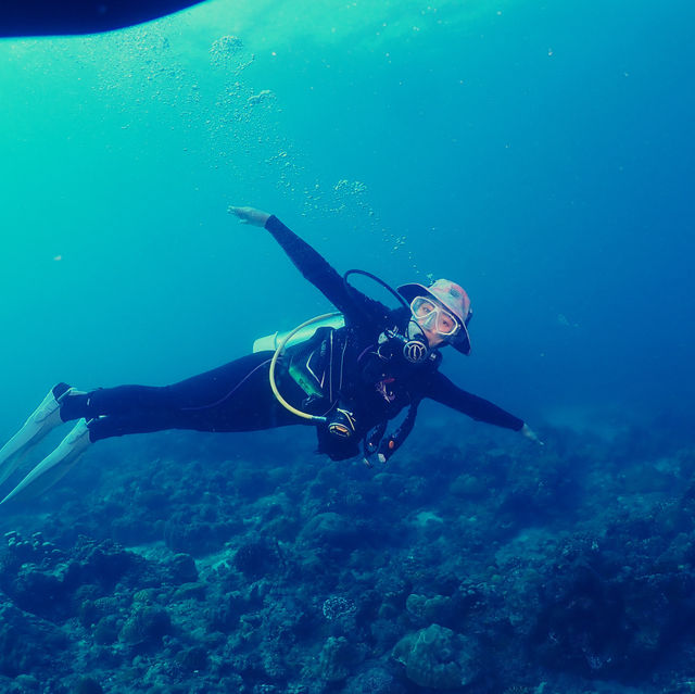 Embracing nature under the sea 🐢 