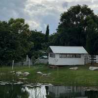 BUCOLIC KHAO YAI | คาเฟ่กลางหุบเขา✨🌳