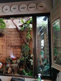 ผัดไทยร้านอร่อยข้าง กทม.1