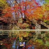 ～海坨山谷～紅葉奇觀～