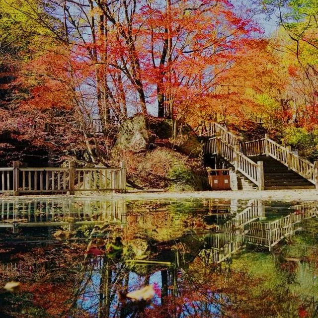 ～海坨山谷～紅葉奇觀～