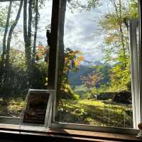 รีวิวร้านลับใน Hakuba