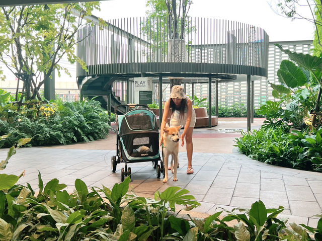 Central Westville pet-friendly shopping mall