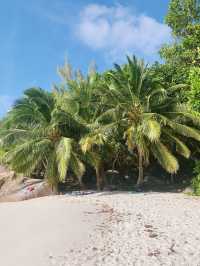Turquoise Waters and Granite Wonders: Discover Anse Lazio