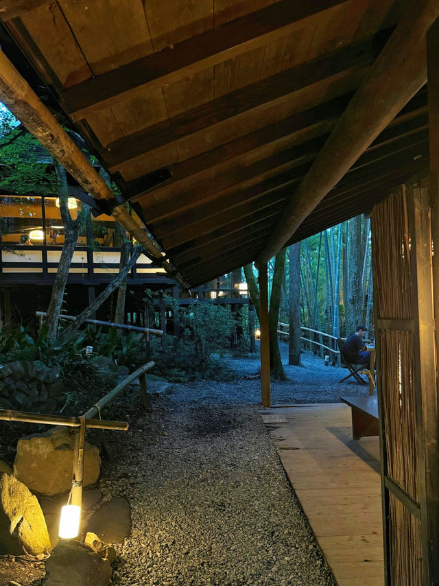 奧多摩町的隱藏自然瑰寶：東京行程中的靜謐綠洲⛰️🌿