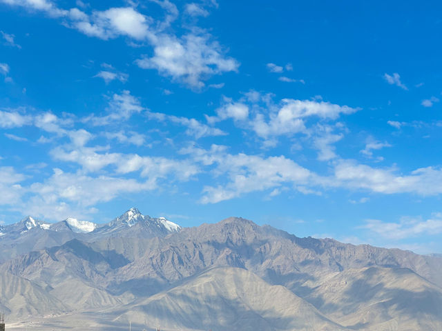 Hotel Hill Top โรงแรม Leh Ladake🇮🇳🌳