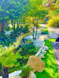 ป่าช้าคาเฟ่